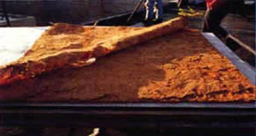 Deteriorated Insulation